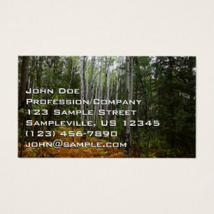 Birch Trees blancs et fougères d'automne à Rocky M