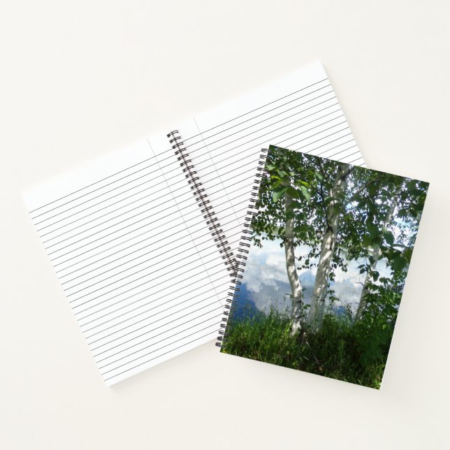 Birch Trees by Lake Spiral Notebook Notizbuch (Innenseite)