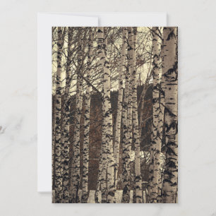 Birch Trees Forest Nature Einladung