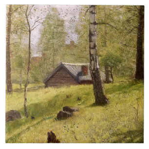 Birch Trees in the Swedish Countryside (Jansson) Fliese