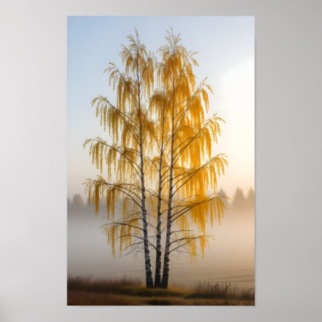 Birch Trees Poster (Vorne)