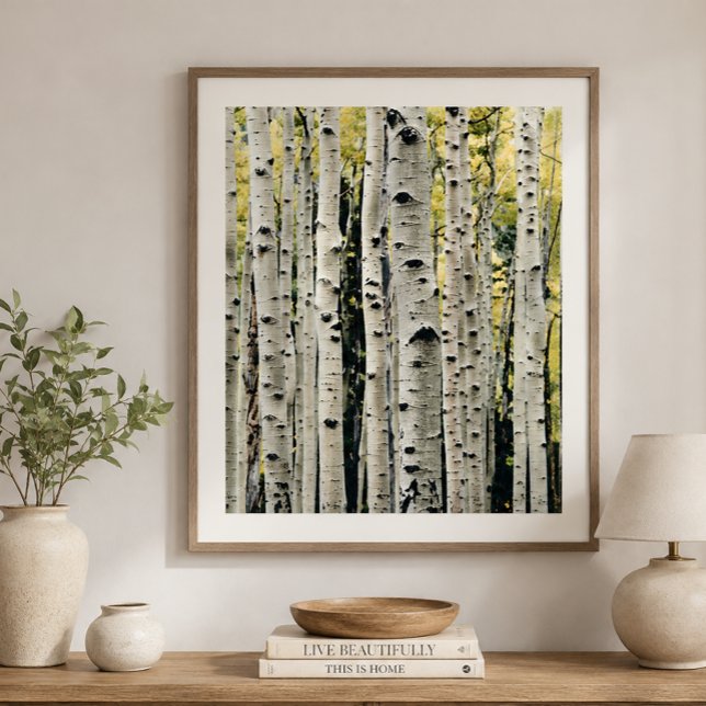 Birch Trees Rustic Cabin Poster (Von Creator hochgeladen)