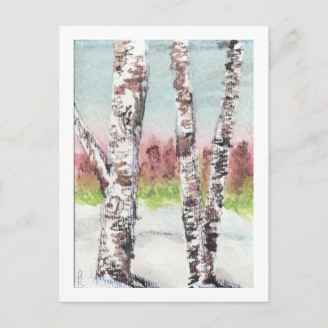 Birch Woods Postcard Postkarte (Vorderseite)