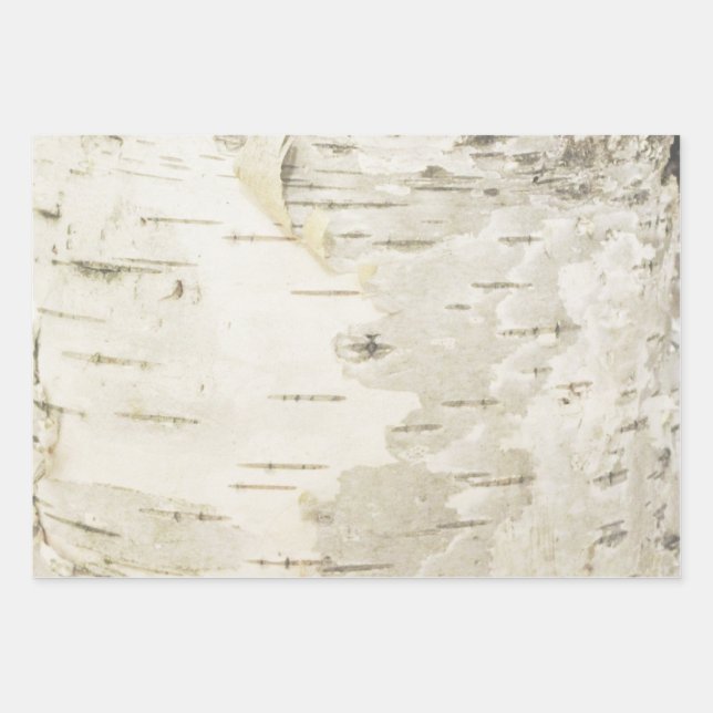 Birch Wrapping Paper Nature Birch Bark Paper Geschenkpapier Set (Vorderseite)