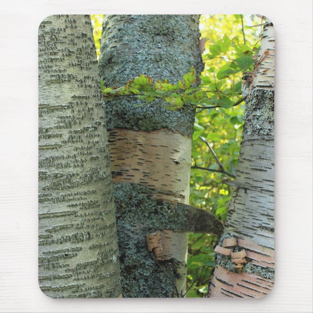 BirchTree Mousepad (Vorne)