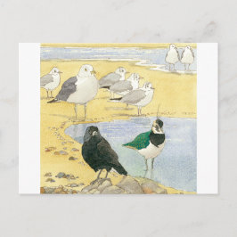 Bird Beach Wildlife Jackdaw Gull Sea Carte postale
