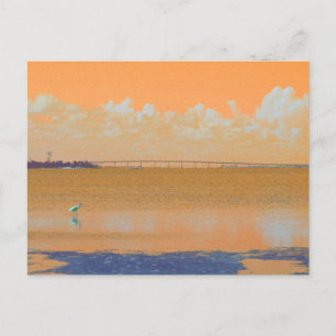 Bird Bridge Orange Blue River Florida Postkarte