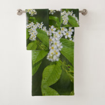 Bird Cherry Tree blüht Blume grün