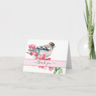 Bird de Chanson de printemps, Merci