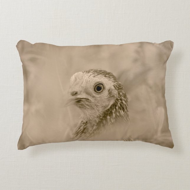 Bird Dekokissen (Vorderseite)