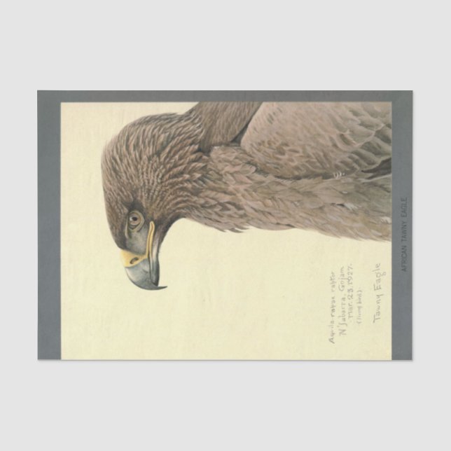 Bird Ephemera Decoupage Brown Eagle Seidenpapier (Vorderseite)