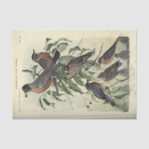 Bird Ephemera Decoupage Robbin Seidenpapier
