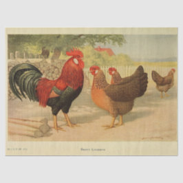 Bird Ephemera Decoupage Vintag Rooster Hen Farm Seidenpapier