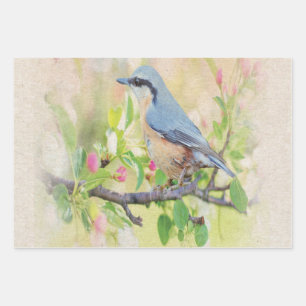 Bird Fanatic Geschenkpapier Set