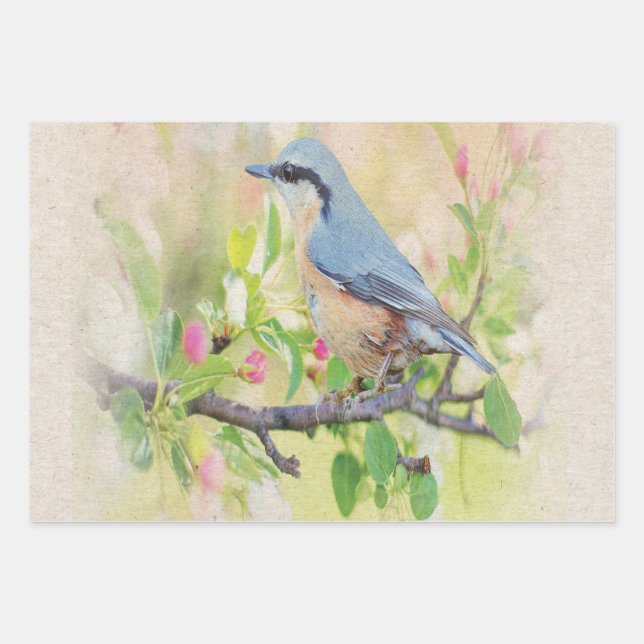 Bird Fanatic Geschenkpapier Set (Vorderseite)