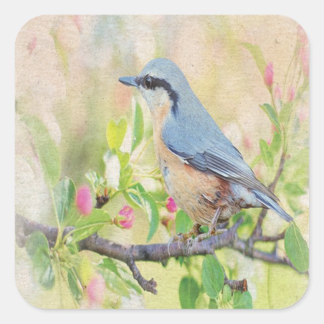 Bird Fanatic Quadratischer Aufkleber (Vorderseite)