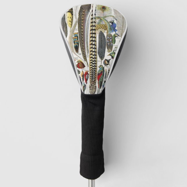 Bird Feather Wildlife Antique Feathers Art Nouveau Golf Headcover (Vorderseite)