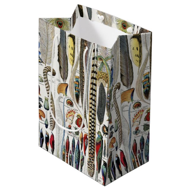 Bird Feather Wildlife Antique Feathers Art Nouveau Mittlere Geschenktüte (Vorderseite Schrägansicht)