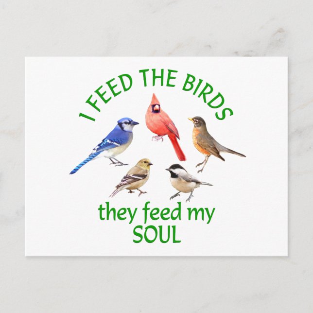 BIRD FEED POSTKARTE (Vorderseite)