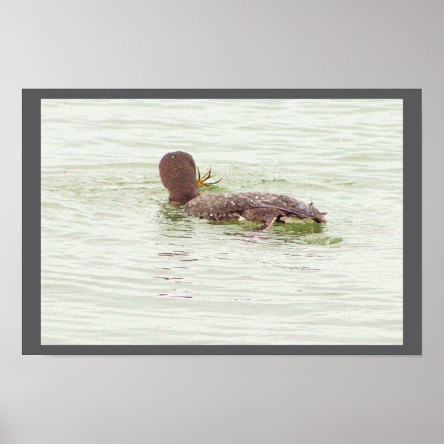 Bird Fishing in Ocean Poster (Vorne)