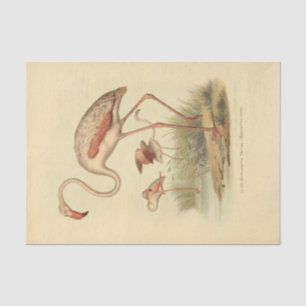 Bird Flamingo Ephemera Decoupage Seidenpapier