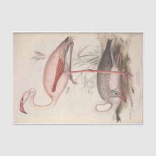 Bird Flamingo Ephemera Seidenpapier