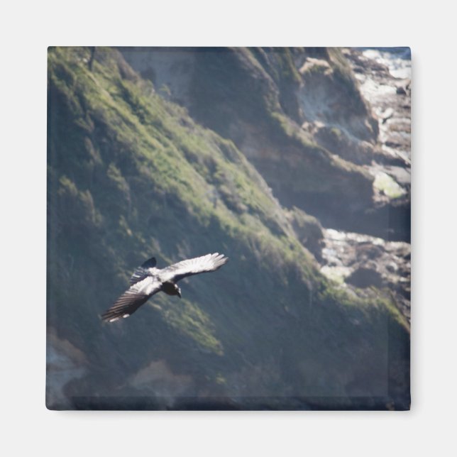 Bird Fly MAGNET (Vorne)