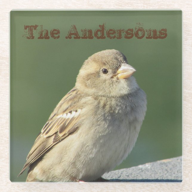 Bird Foto Familienname Brown House Sparrow Glasuntersetzer (Vorderseite)
