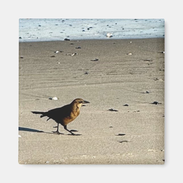 Bird Foto Magnet (Vorne)