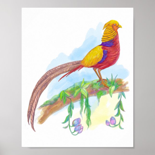 Bird Golden Pheasant Poster (Vorne)