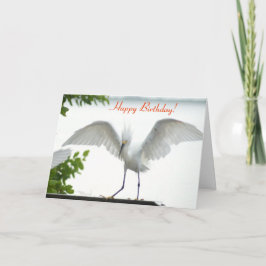 Bird Happy Birthday Sister Grußkarte Karte