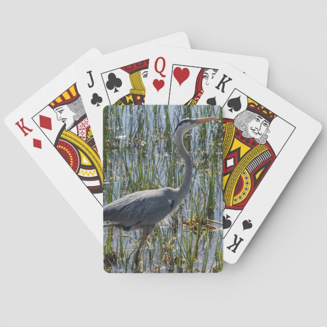 Bird Heron Closeup Marsh Fotograf Spielkarten (Rückseite)