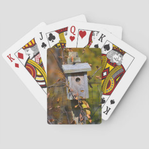 Bird House Spielkarte