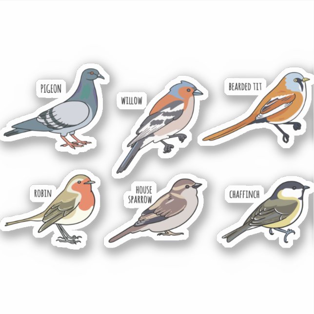 BIRD ILLUSTRATION DESIGN SET AUFKLEBER (Vorderseite)