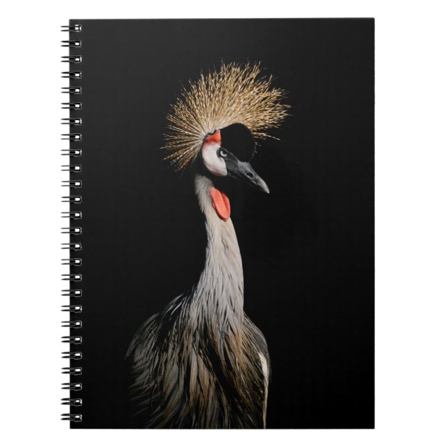 BIRD IN BRASILIEN NOTIZBLOCK (Vorderseite)
