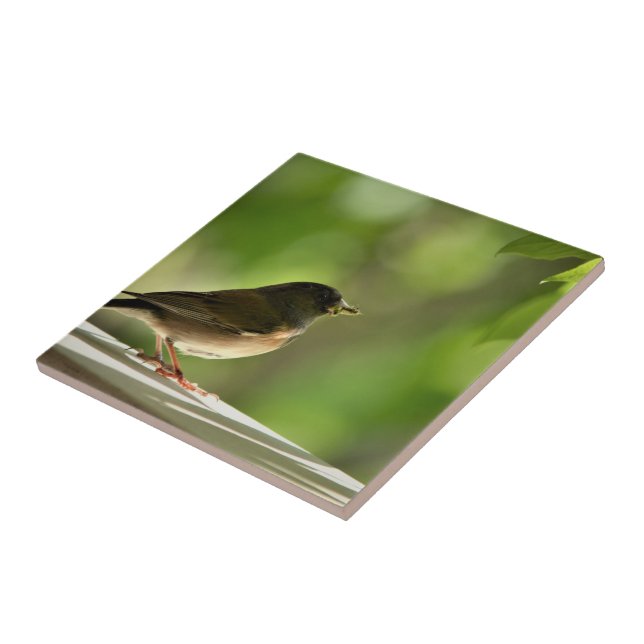 Bird in green leaves background fliese (Seite)