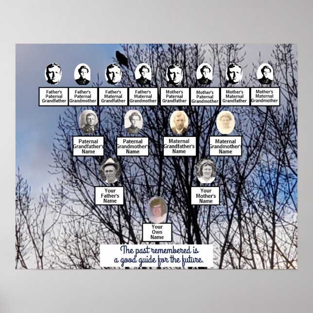 Bird in Winter Tree Foto Family Tree Poster (Vorne)