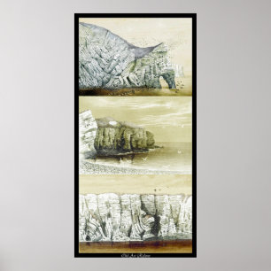 Bird Life Poster ~ Cliff Habitat