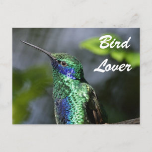 Bird Lover Postkarte
