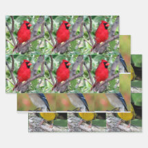 Bird Lover's - 3 Design - Jeden Anlaß