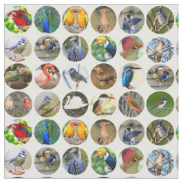 Bird Lovers Fabric Stoff