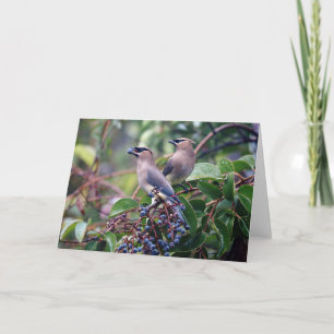 Bird Lunch Greeting Card (Blank Inside) Karte