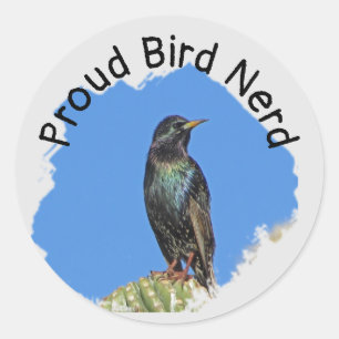 Bird Nerd Hübsch Black Starling Cactus Birdwatcher Runder Aufkleber