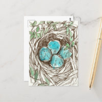 Bird Nest Blue Robin Eggs Spring Ink Zeichnend