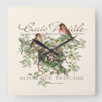 Bird Nest Carte Postale Französisch Vintag