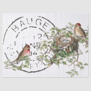 Bird Nest Französisch Postmark Vintag Decoupage Seidenpapier