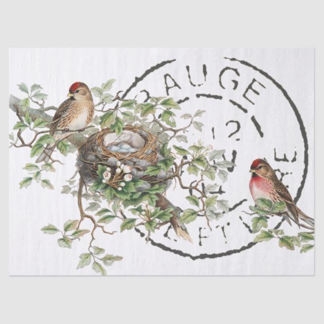 Bird Nest Französisch Postmark Vintag Decoupage Seidenpapier (Vorderseite)