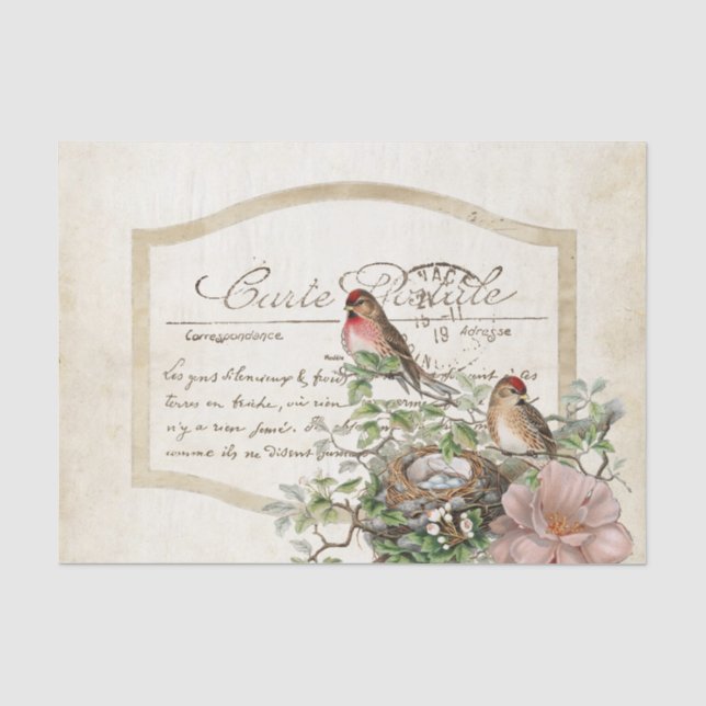 Bird Nest Gold Floral Carte Postale Französische S Seidenpapier (Vorderseite)