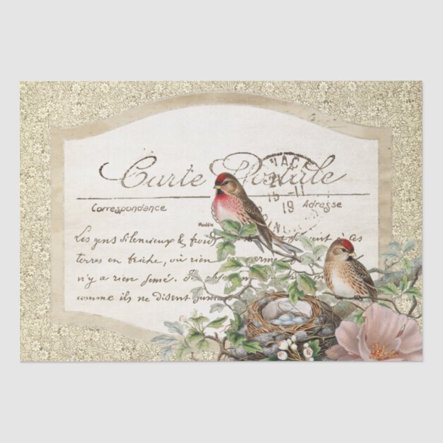 Bird Nest Gold Floral Carte Postale Französische S Seidenpapier (Vorderseite)