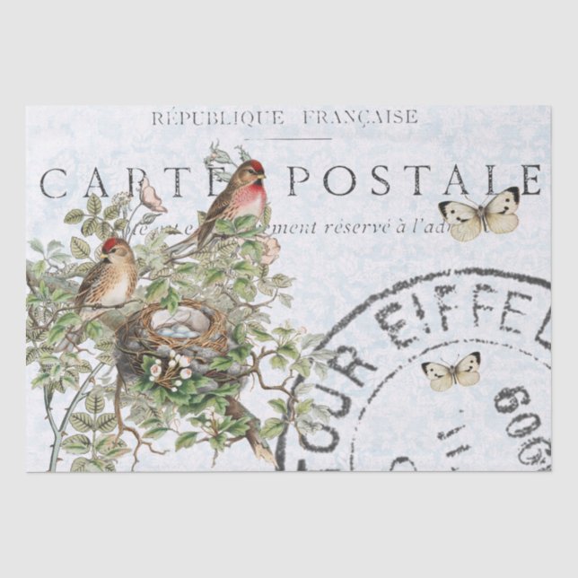 Bird Nest Postmark Butterfly Carte Postale Blue Seidenpapier (Vorderseite)
